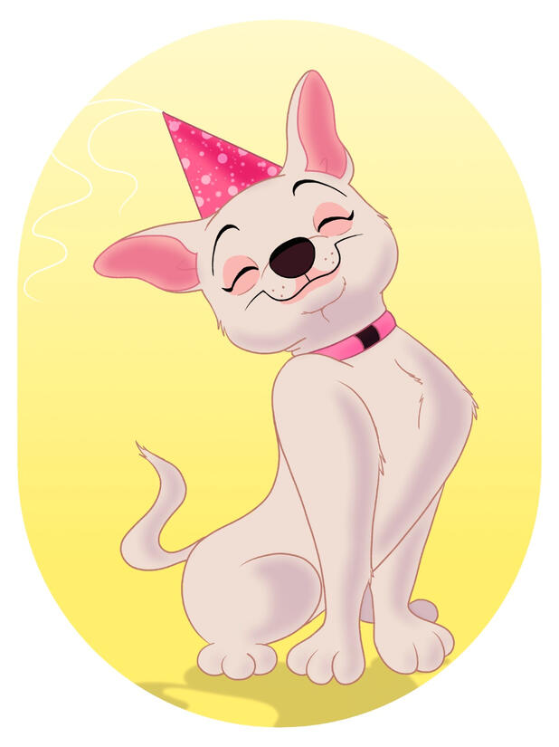 Birthday Dog